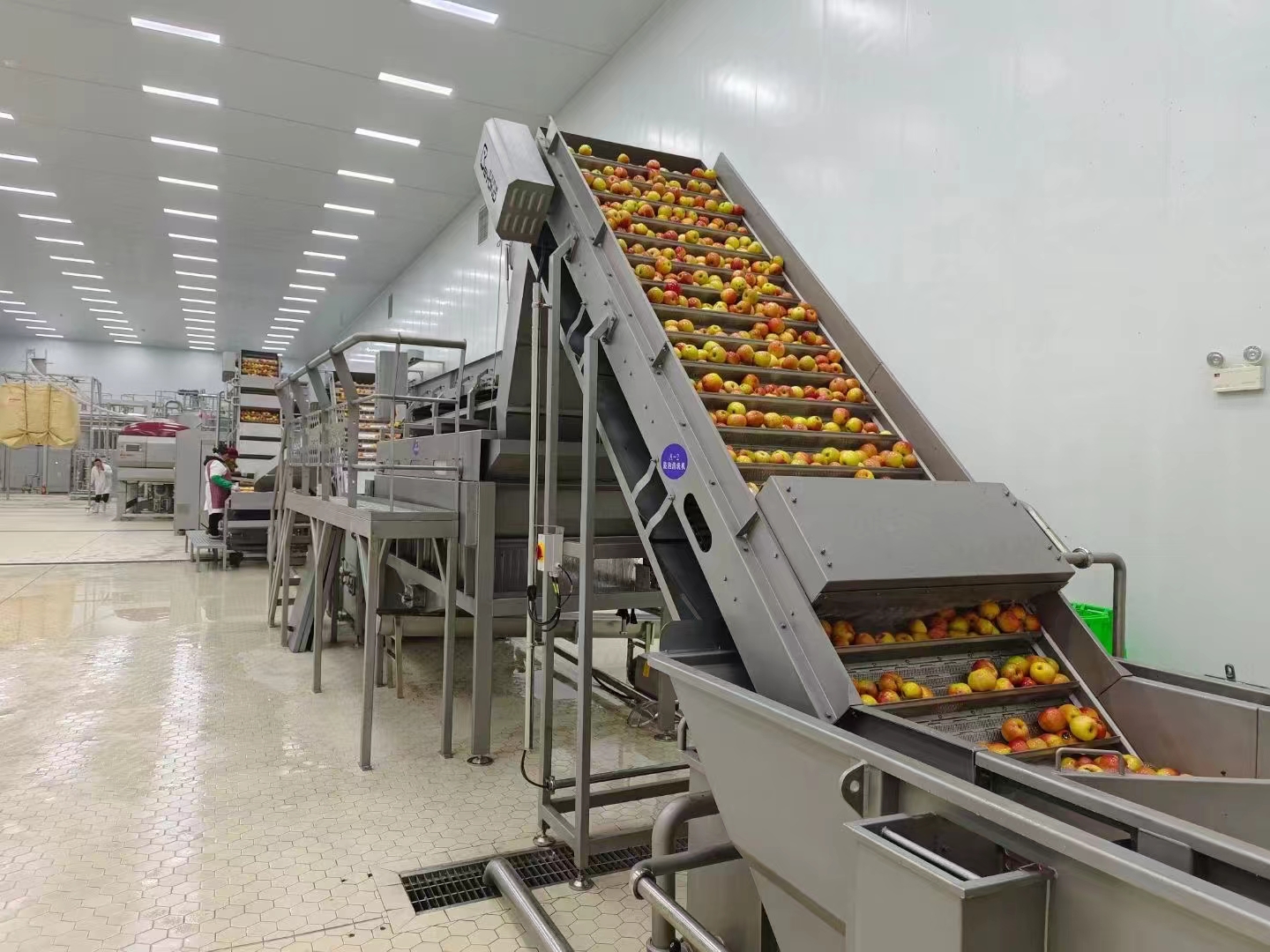 1729472165399696.jpg 洋河2.jpg