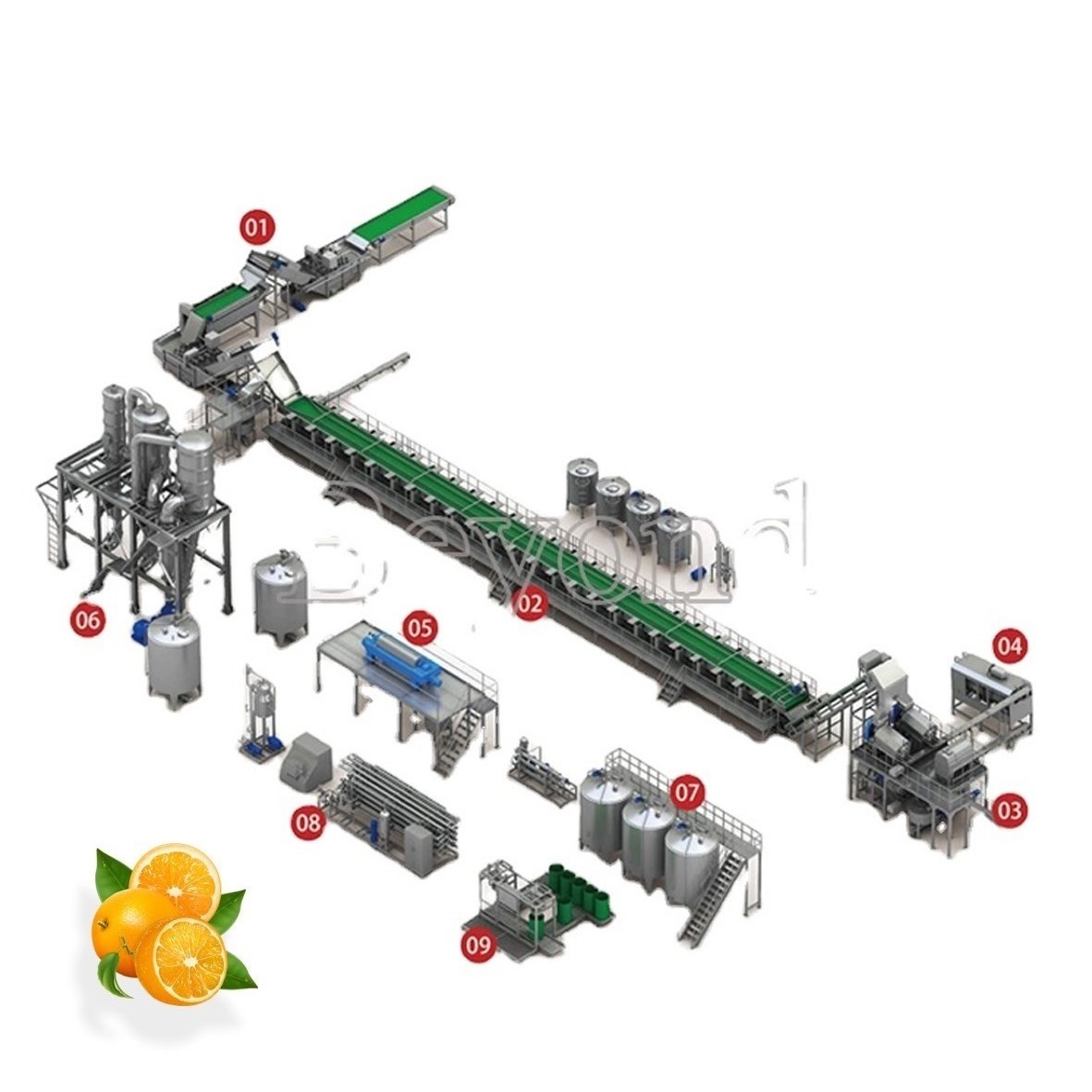 柠檬加工线 柠檬加工线